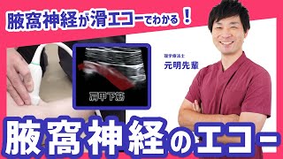 腋窩神経をエコーで見える化！