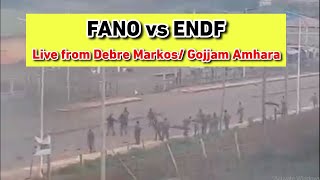 Fano vs ENDF: Live from Debre Markos/Gojjam Amhara