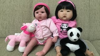 A Chegada da minha bebê Reborn Sofia e da minha bebê Reborn Helena