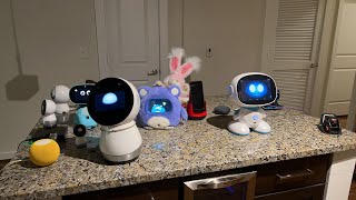 Jibo \u0026 Friends - Saturday Livestream (New Digs)