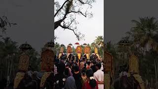 ARAYAMPARAMBIL TEMPLE# POORAM