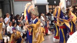 2014高知よさこい　十人十彩　帯屋町筋