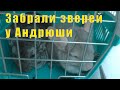 ГЛАЗАМ НЕ ВЕРЮ/ ЗАБРАЛИ ЗВЕРЕЙ У АНДРЮШИ /15 июля 2024