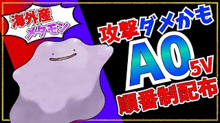 【順番制配布】海外産A05Vメタモン配布！【ポケモンSV】