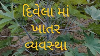 દિવેલા પાકમાં ખાતર વ્યવસ્થાપન ની સમજ || fertilizer management in castor crop