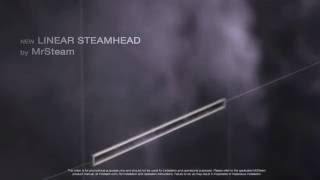 MrSteam Linear Steam Head Beauty by Geyser Australasia