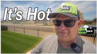 Hot Day Tips for Watering and more...