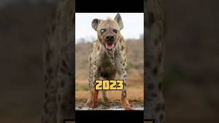 2023 hyena v/s 5000 bce hyena mythical biology #shorts #viral #10mviews