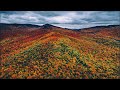 Adirondack Autumn Foliage (4K)