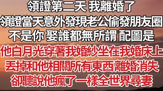 【完結】領證第二天 我離婚了，領證當天意外發現老公偷發朋友圈：不是你 娶誰都無所謂 配圖是，他白月光穿著我婚紗坐在我婚床上，丟掉和他相關所有東西 離婚消失，卻聽說他瘋了一樣全世界尋妻【爽文】【婚姻】