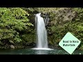 Road to Hana/Waterfalls/Maui/Hawaii