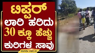 ಟಿಪ್ಪರ್ ಲಾರಿ ಹರಿದು 30 ಕ್ಕೂ ಹೆಚ್ಚು ಕುರಿಗಳ ಸಾವು | ಗೌರಿಬಿದನೂರು | MM TV-News 25-01-2023