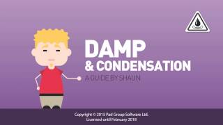 Damp and condensation in your home