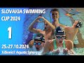 Slovakia Swimming Cup 2024 -  Friday morning - HEATS