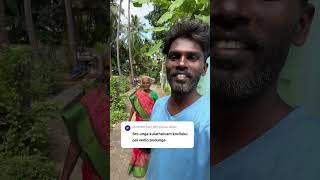 சுடலை மாட சாமி 🙏நாங்க குலதெய்வம் சொல்ல மாட்டோம் குடும்ப கோவில் 🙏#shorts #vlog #trending