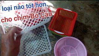 Chọn Rổ Đẻ Cho Chim Bồ Câu. Loại Nào Sử Dụng Tốt Hơn.