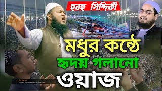 যে বয়ানটি আপনার জীবন পরিবর্তনের জন্য যথেষ্ট। হাফেজ মাওলানা হামিদুল হক হামিদী। নতুন ওয়াজ  ২০২৫।