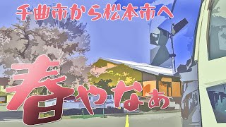 【長距離トラック運転手】桜満開の千曲市から松本市へとある日の運行(日野プロフィア乗り）