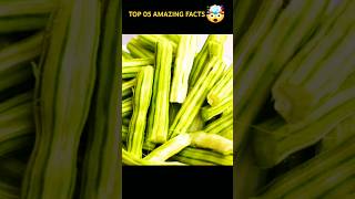 Top 05 Amazing Facts - Wankhede Facts #facts #ytshorts #shorts