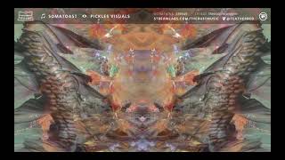 Somatoast and Pickles Visuals 2020 Featherbed stream mix