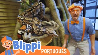 Blippi Brinca com Animais no Zoológico | Vídeos Educativos para Crianças | As Aventuras de Blippi