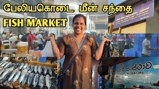 பேலியகொடை மீன் சந்தைக்குள் போகலாம் வாங்க 🐟 | Peliyagoda Fish Market | Colombo