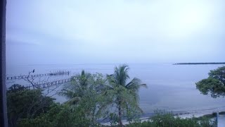 LIVE WEBCAM - Tampa Bay / Manatee River / Gulf of Mexico 2023.7.27