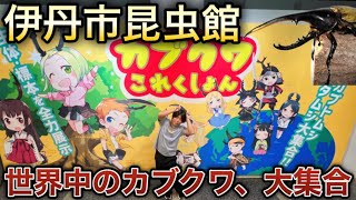 伊丹昆虫館で世界の虫達が大集合！【カブクワこれくしょん】