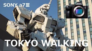 【SONY α7Ⅲ】TOKYO WALKING 東京散歩 【PILOTFLY Adventurerジンバル】