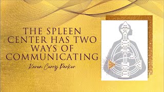 The Defined and Open/Undefined Spleen Center - Karen Curry Parker