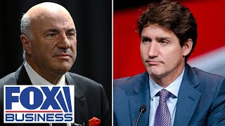 'IDIOT KING': O'Leary takes Trudeau to task over immigration policy