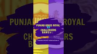 Punjab Kings Royal VS Challengers Bangalore #cricet #ipl #ipl23 #PBKS #RCB indian premier