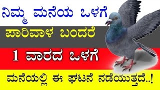 ಮನೆಯ ಒಳಗೆ ಪಾರಿವಾಳ ಬಂದರೆ ಏನರ್ಥ ತಿಳಿಯಿರಿ || Meaning of pigeon entering house in Kannada || Divine knda