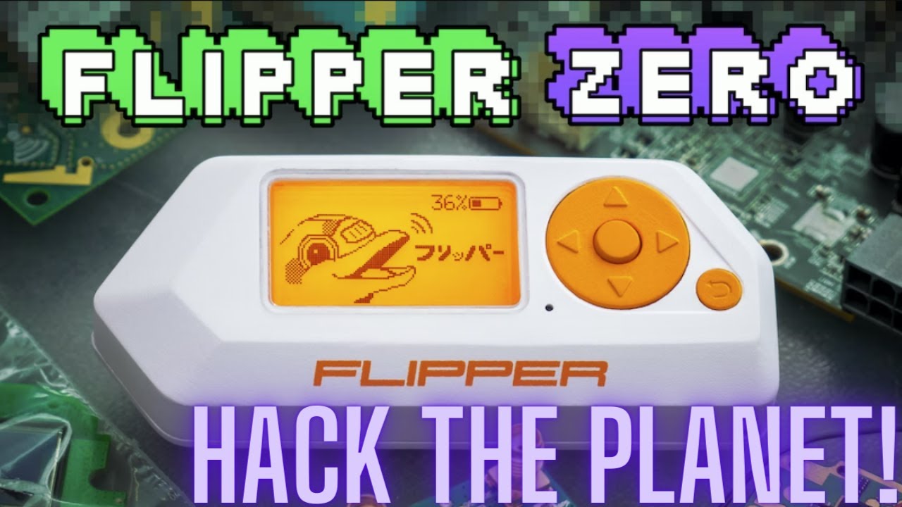 Hackers Estão Malucos Pelo Flipper Zero Youtube