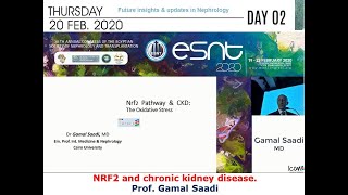 NRF2 and chronic kidney disease. Prof. Gamal Saadi