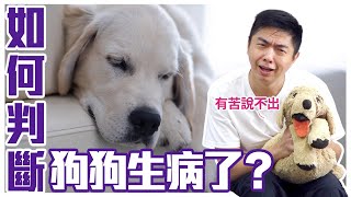 這些求救訊號別輕忽！如何判斷狗狗生病了？Your Dog May Be Sick｜@熊爸估狗dogtrainer