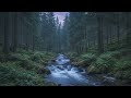 Gentle Waves: Ambient Sounds for Inner Harmony and Relaxation