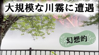 【幻想的】大規模な川霧に遭遇！！