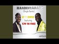 Handinyarare (Single Remix) (feat. Oliver Mtukudzi)