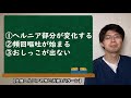 困らないように備えよう！犬の会陰ヘルニアについてのお話 【vol.29】