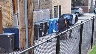 Attack in Chicago alley caught on camera