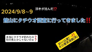 千葉南端の館山にタチウオが釣れる⁉️かどうかの調査と、ソウダもちょっと欲しい欲張りさん全快で釣に挑んできました(笑)