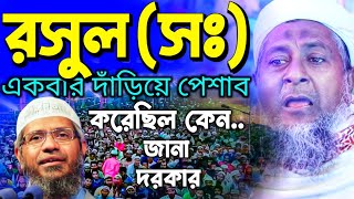 দাঁড়িয়ে প্রসাব করা যাবে কখন মাও জয়নাল আবেদিন সাহেব#joynal abedin saheb saheb#waz জয়নাল আবেদীন জলসা