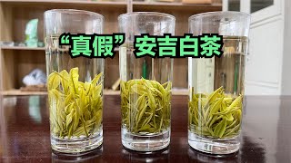 茶叶就是外行看热闹，内行看门道，深入解说“安吉白茶”