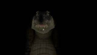 archived video.mp4