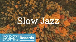 Slow Jazz: January Jazz - Sweet Jazz \u0026 Elegant Piano Music to Relax, Study and Work Efficiently