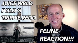 PSYCHOTHERAPIST REACTS to Juice Wrld- Feline (ft. Polo G and Trippie Redd)