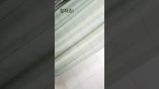 헤헤헿헿헤ㅔㅎ헤헤헿