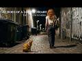 The North Echoes — Echoes of a Lonely Heart (Official Video)