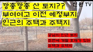 [부여여자고등학교 이전예정지 인근] 신원TV  부여주택 부여토지 부여땅 시골주택 궁남지 부여전원주택 부여부동산 부여집 부여농가주택 신원공인중개사 부여공인중개사 풍수지리 명당